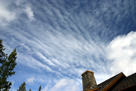 Cirrocumulus undulatus