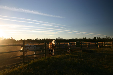 Contrails