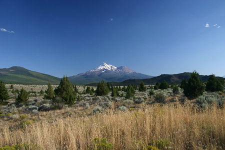 Mt. Shasta