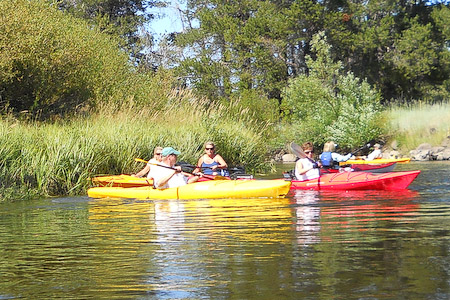 The Flotilla Gathers