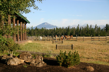 A Barn Like a Temple