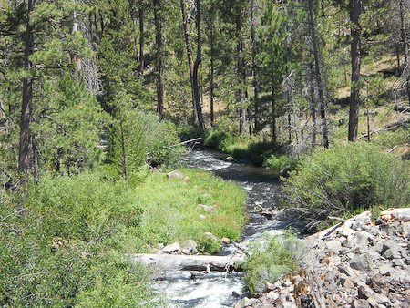 The Flood Below the Dam