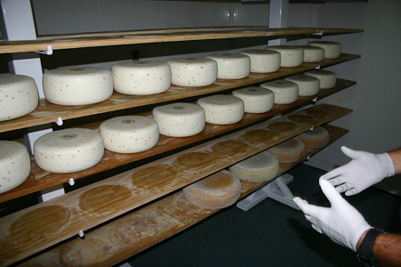 Aging Cheese