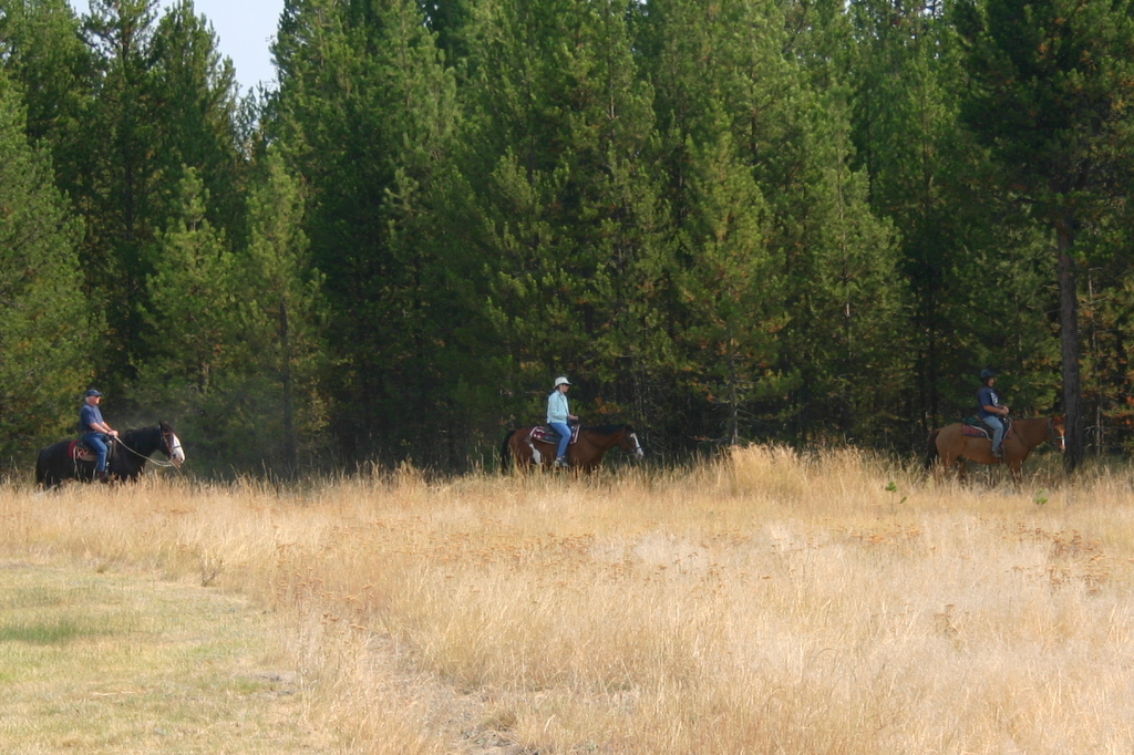 Trail Riding